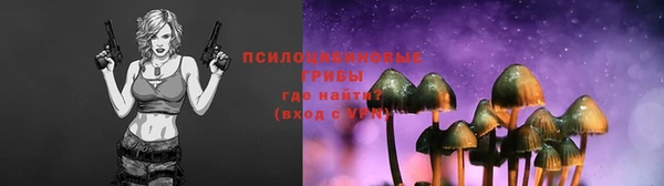 экстази Арсеньев