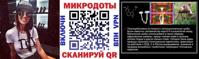 Галлюциногенные грибы Psilocybe  Осташков 